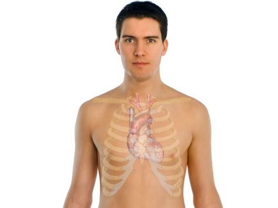 jak parazité ovlivňují lidské orgány