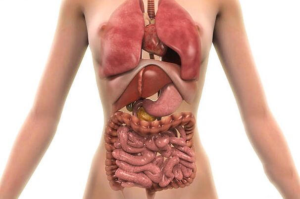 parazitů v lidském těle