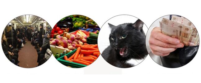 způsoby infekce parazity